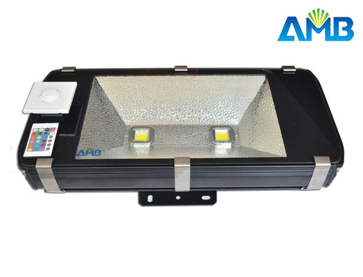 Outdoor IP65 Waterproof 80W Led Landscape Floodlight For Garden, Park and Tunnel