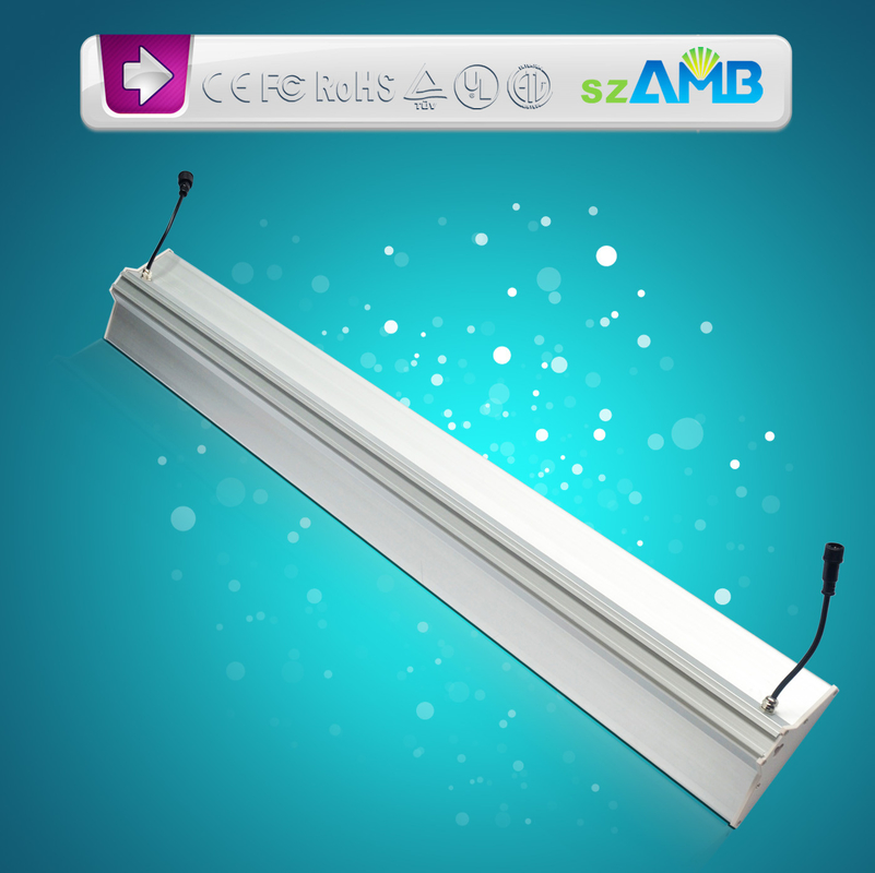 IP 65  water-proof  stainless steel , 20W , used for indoor or out door lighting